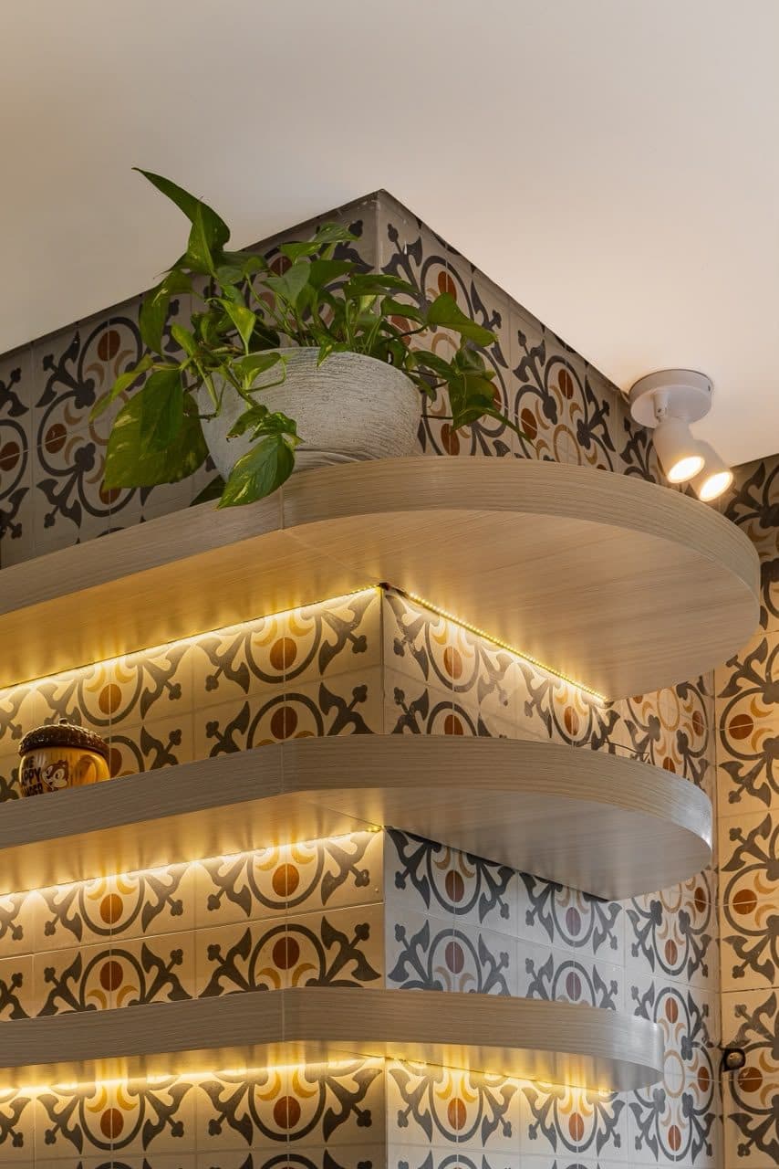 Detalhe de estante curva em madeira clara com iluminação indireta e vaso de planta